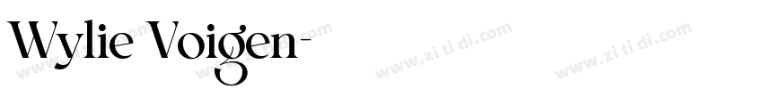 Wylie Voigen字体转换